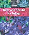 Trees and Shrubs for Foliage (The Woody Plant) by Glyn Church (2002-09-07)