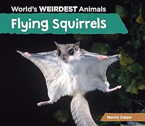 Flying Squirrels