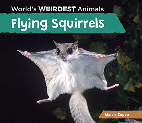 Flying Squirrels by Marcia Zappa