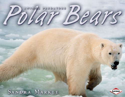 Polar Bears (Animal Predators) by Sandra Markle