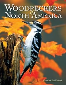 Woodpeckers of North America