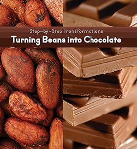 Turning Beans Into Chocolate