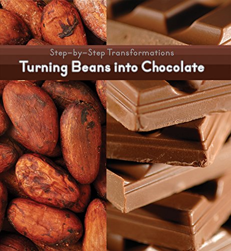 Turning Beans Into Chocolate by Herald McKinley
