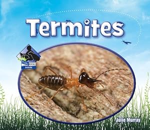 Termites