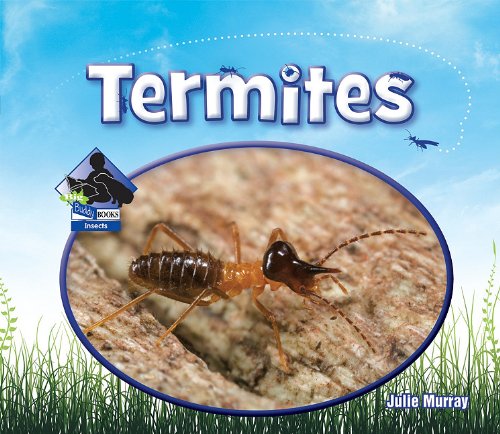 Termites by Julie Murray