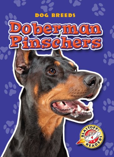 Doberman Pinschers by Sara Green
