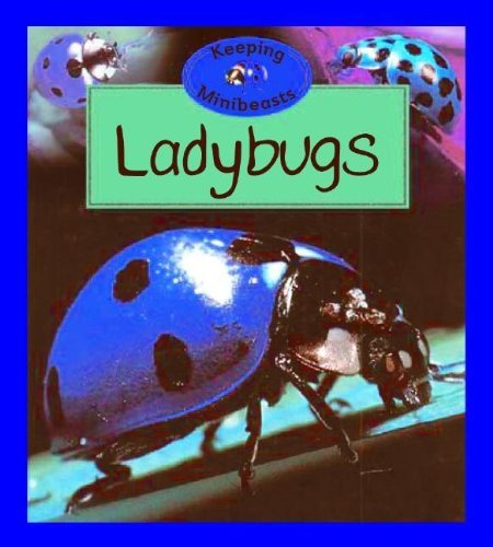 Ladybugs by Barrie Watts