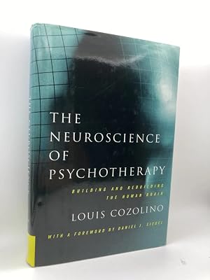 The Neuroscience of Psychotherapy: Building and Rebuilding the Human Brain (Norton Series on Interpersonal Neurobiology)