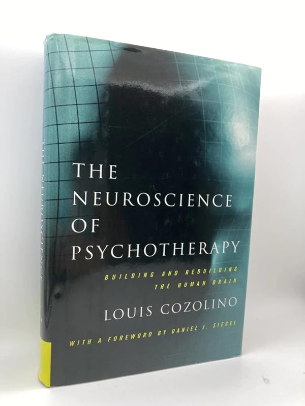 The Neuroscience of Psychotherapy: Building and Rebuilding the Human Brain (Norton Series on Interpersonal Neurobiology) by Louis Cozolino