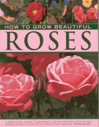 How to Grow Beautiful Roses: A Practical Guide to Growing, Caring For and Maintaining Roses, Shown in Over 275 Glorious Photographs by Peter McHoy