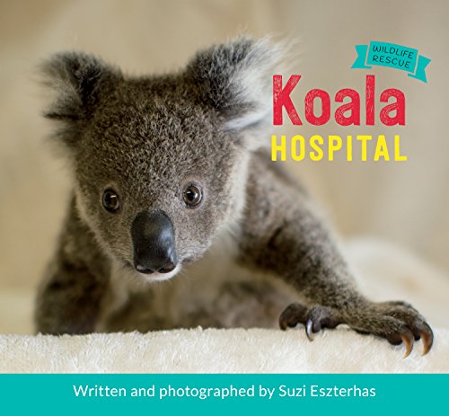 Koala Hospital by Suzi Eszterhas