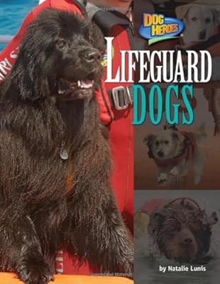 Lifeguard Dogs