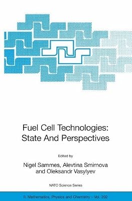 Fuel Cell Technologies: State And Perspectives: Proceedings of the NATO Advanced Research Workshop on Fuel Cell Technologies: State And Perspectives, Kyiv, ... Physics and Chemistry Book 202)
