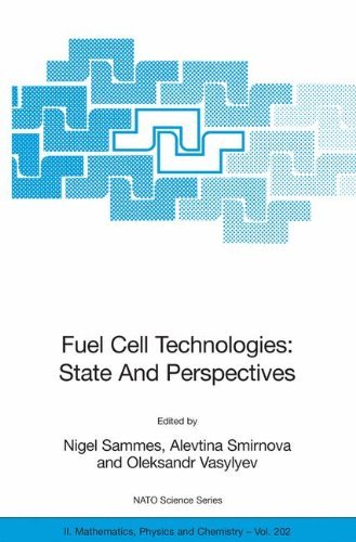 Fuel Cell Technologies: State And Perspectives: Proceedings of the NATO Advanced Research Workshop on Fuel Cell Technologies: State And Perspectives, Kyiv, ... Physics and Chemistry Book 202) by Nigel Sammes