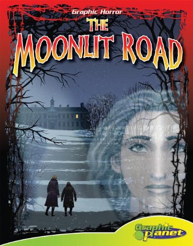 The moonlit road by Vincent Goodwin