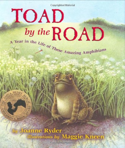 Toad by the Road: A Year in the Life of These Amazing Amphibians by Joanne Ryder