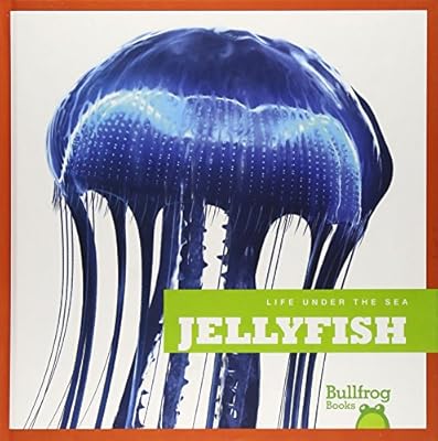 Jellyfish