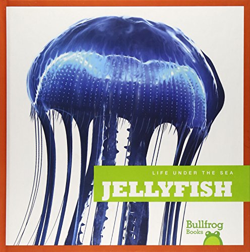 Jellyfish by Cari Meister