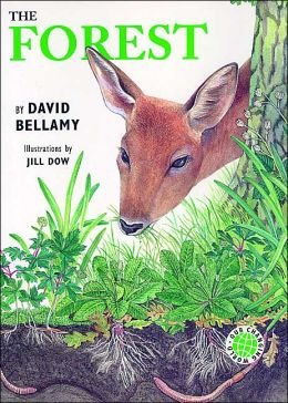 OUR CHANGING WORLD THE FOREST by David Bellamy
