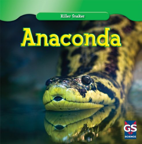 Anaconda (Killer Snakes) by Johanna Burke