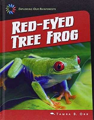 Red-eyed tree frog