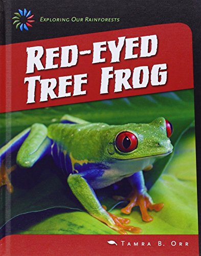 Red-eyed tree frog by Tamra Orr