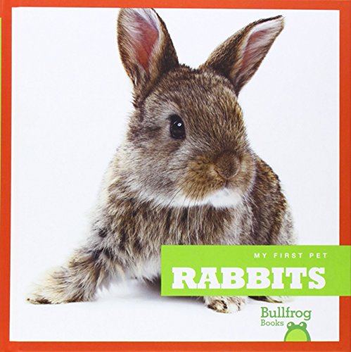 Rabbits by Cari Meister