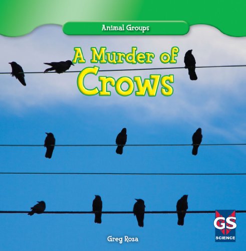 A Murder of Crows by Greg Roza