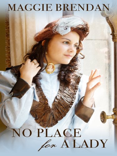 No Place for a Lady by Maggie Brendan