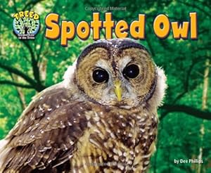 Spotted Owl by Dee Phillips