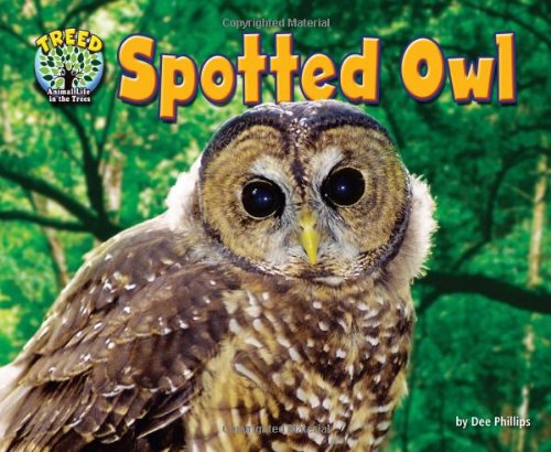 Spotted Owl by Dee Phillips