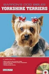 Yorkshire Terriers