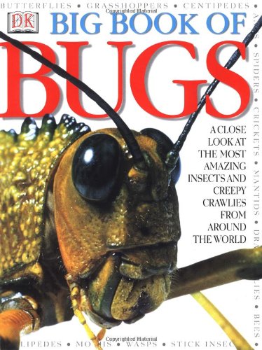 Big Book of Bugs by DK Publishing