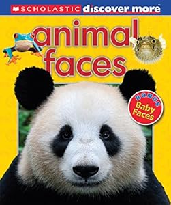 Scholastic Discover More: Animal Faces