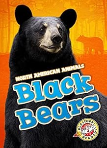 Black Bears