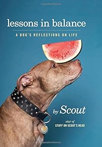 Lessons in Balance: A Dogs Reflections on Life by Scout  star of Stuff on Scouts Head