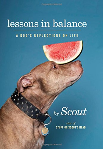 Lessons in Balance: A Dogs Reflections on Life by Scout  star of Stuff on Scouts Head