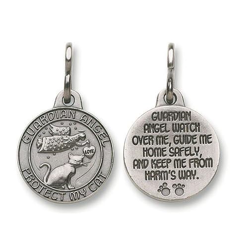 https://ecx.images-amazon.com/images/I/51zTZn1c1hL._SL500_SS500_.jpg