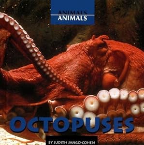 Octopuses (Animals, Animals)