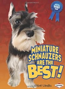 Miniature Schnauzers Are the Best!
