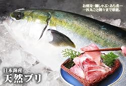 天然ブリ[生]　1匹(3kg前後)