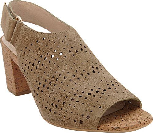 Algopix Similar Product 1 - 