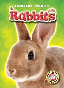Rabbits
