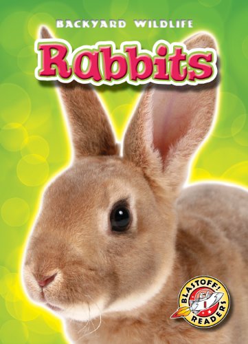 Rabbits by Derek Zobel