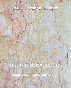 2020 Personal Budget: Income & Expenses (Budgeting Record Books, Inc.) by Budgeting Record Books, Inc.