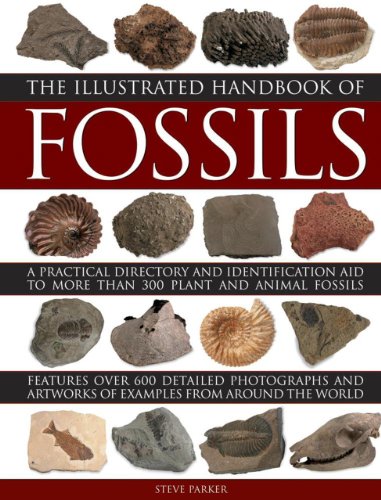 The Illustrated Handbook of Fossils: A Practical Directory And Identification Aid To More Than 300 Plant And Animal Fossils by Steve Parker