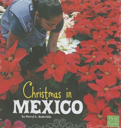 Christmas in Mexico by Cheryl L. Enderlein