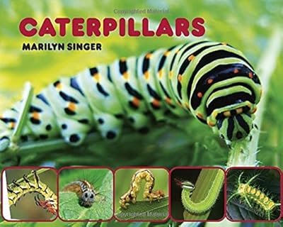 Caterpillars