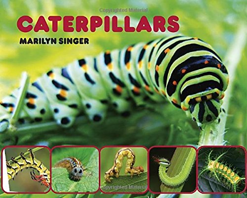 Caterpillars by Marilyn Singer