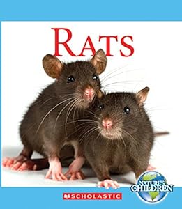 Rats